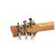 Suhr Oso 2 Tone Tobacco Burst #90103 Front View