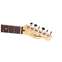 Fender Standard Telecaster 3-Color Sunburst Indian Laurel Fingerboard Front View