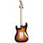 Fender Standard Stratocaster 3-Color Sunburst Indian Laurel Fingerboard Back View