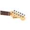 Fender Standard Stratocaster 3-Color Sunburst Indian Laurel Fingerboard Front View