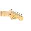 Fender Standard Stratocaster HSS Aqua Marine Metallic Maple Fingerboard Front View
