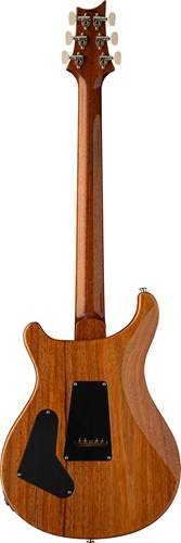 PRS Custom 24 Aurora Borealis PRS Custom 24 Aurora Borealis