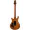 PRS Custom 24 Aurora Borealis Back View