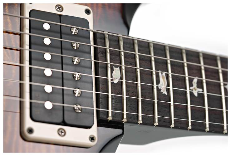 PRS Custom 24 Black Gold Wraparound Burst #0403353 PRS Custom 24 Black Gold Wraparound Burst #0403353