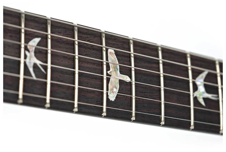PRS Custom 24 Black Gold Wraparound Burst #0403353 PRS Custom 24 Black Gold Wraparound Burst #0403353