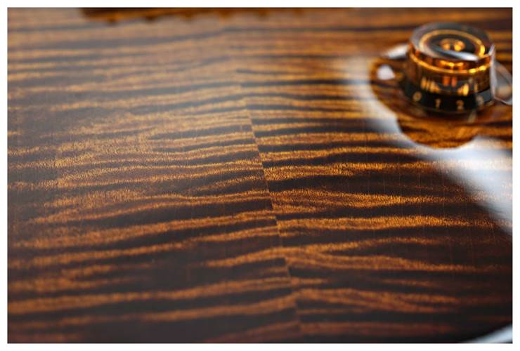PRS Custom 24 Black Gold Wraparound Burst #0403353 PRS Custom 24 Black Gold Wraparound Burst #0403353