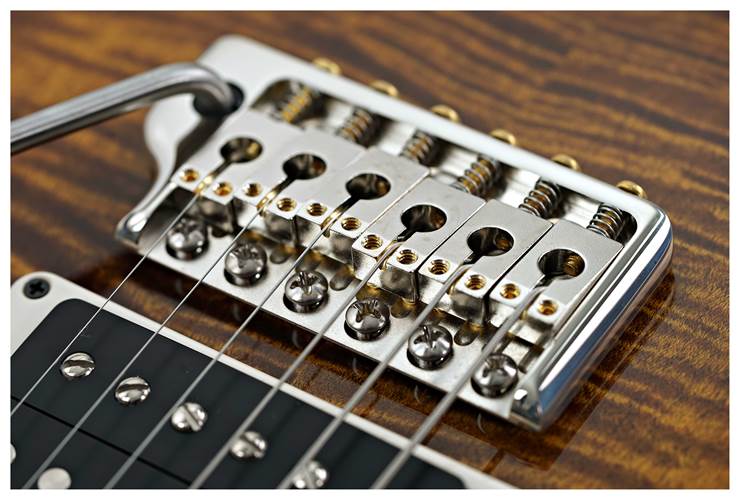 PRS Custom 24 Black Gold Wraparound Burst #0403353 PRS Custom 24 Black Gold Wraparound Burst #0403353