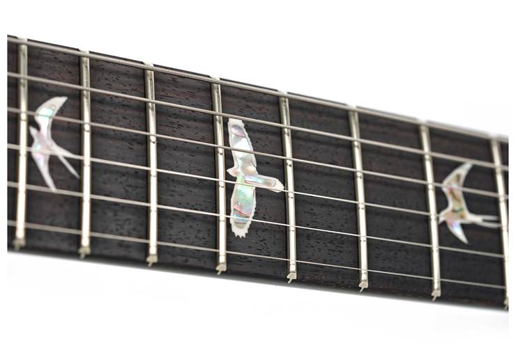 PRS Custom 24 Charcoal Burst #0401503 PRS Custom 24 Charcoal Burst #0401503