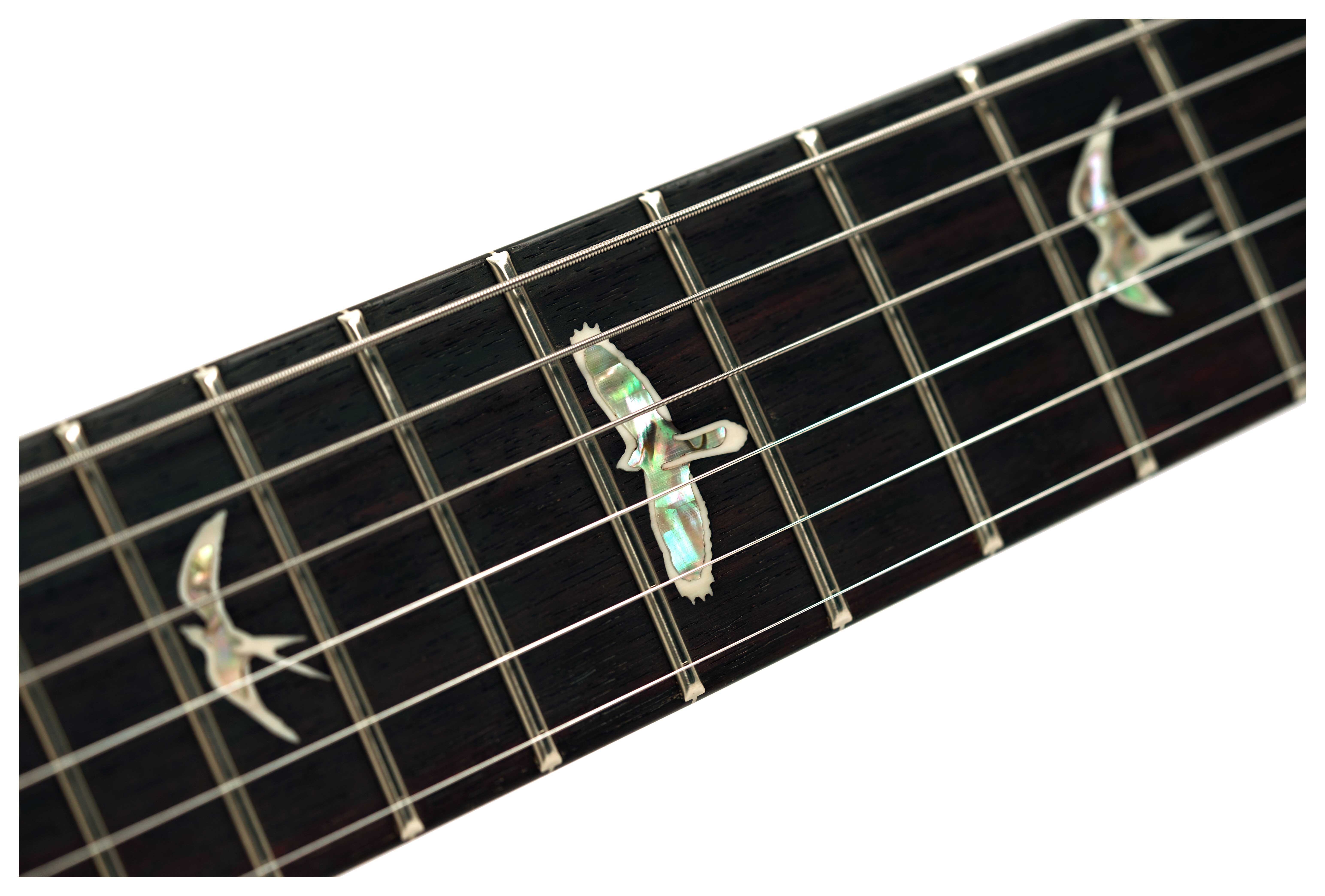 PRS Custom 24 Hand Selected 10 Top Black Gold #0424187
