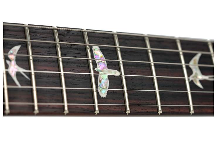 PRS Custom 24-08 Black Gold #0410308 PRS Custom 24-08 Black Gold #0410308