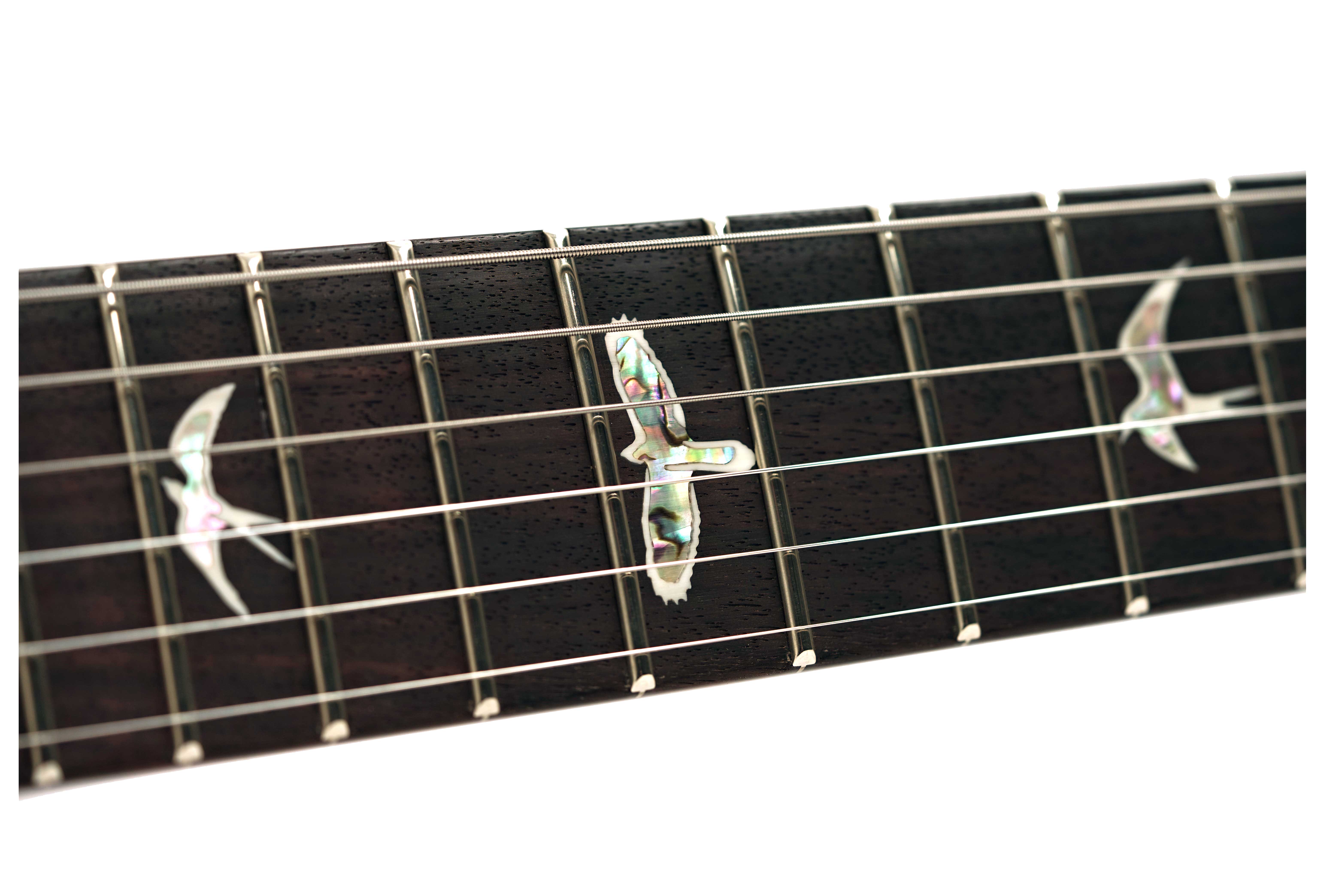 PRS DGT Birds Dark Cherry Sunburst #0420501