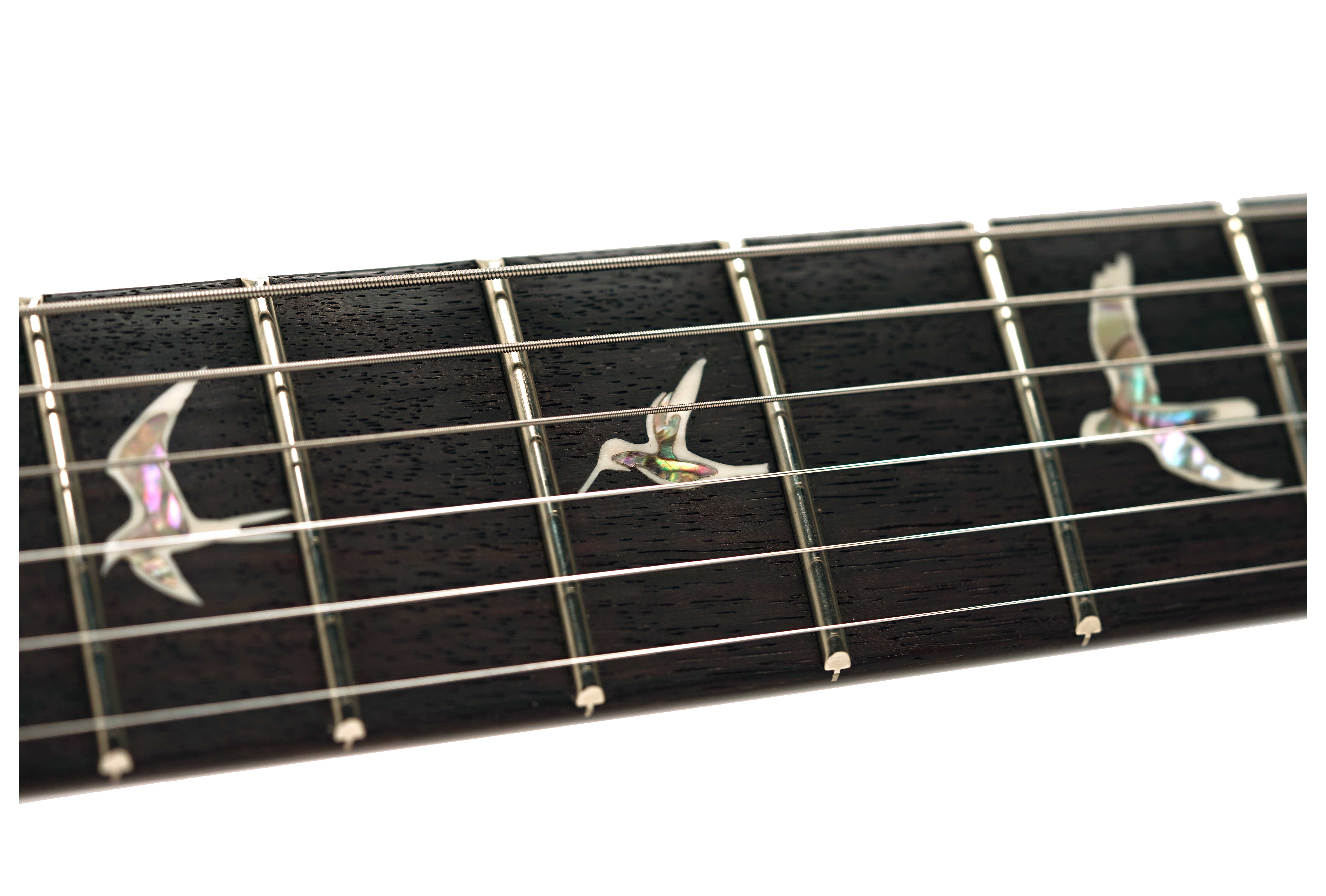 PRS DGT Birds Dark Cherry Sunburst #0420501