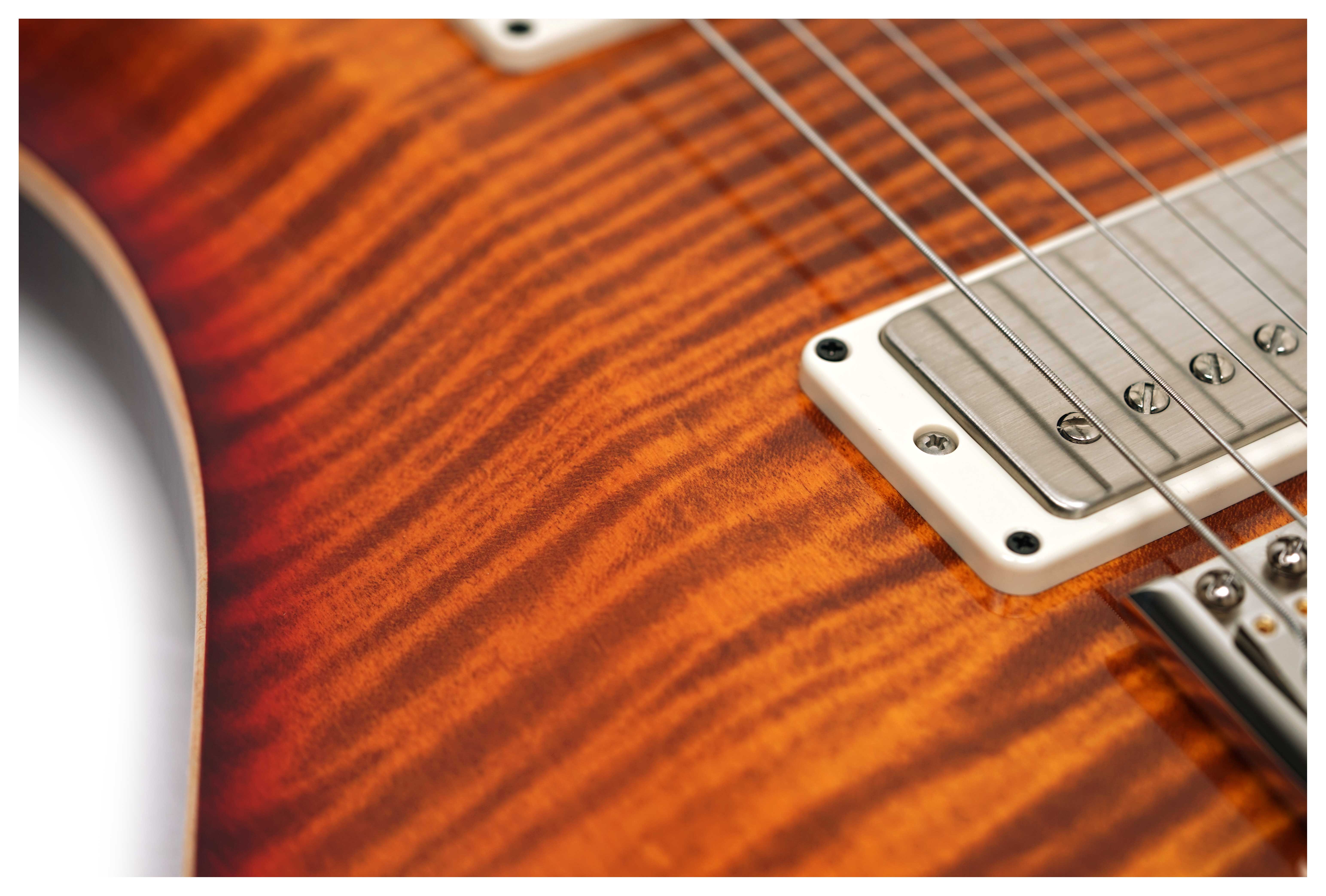 PRS DGT Birds Dark Cherry Sunburst #0420501