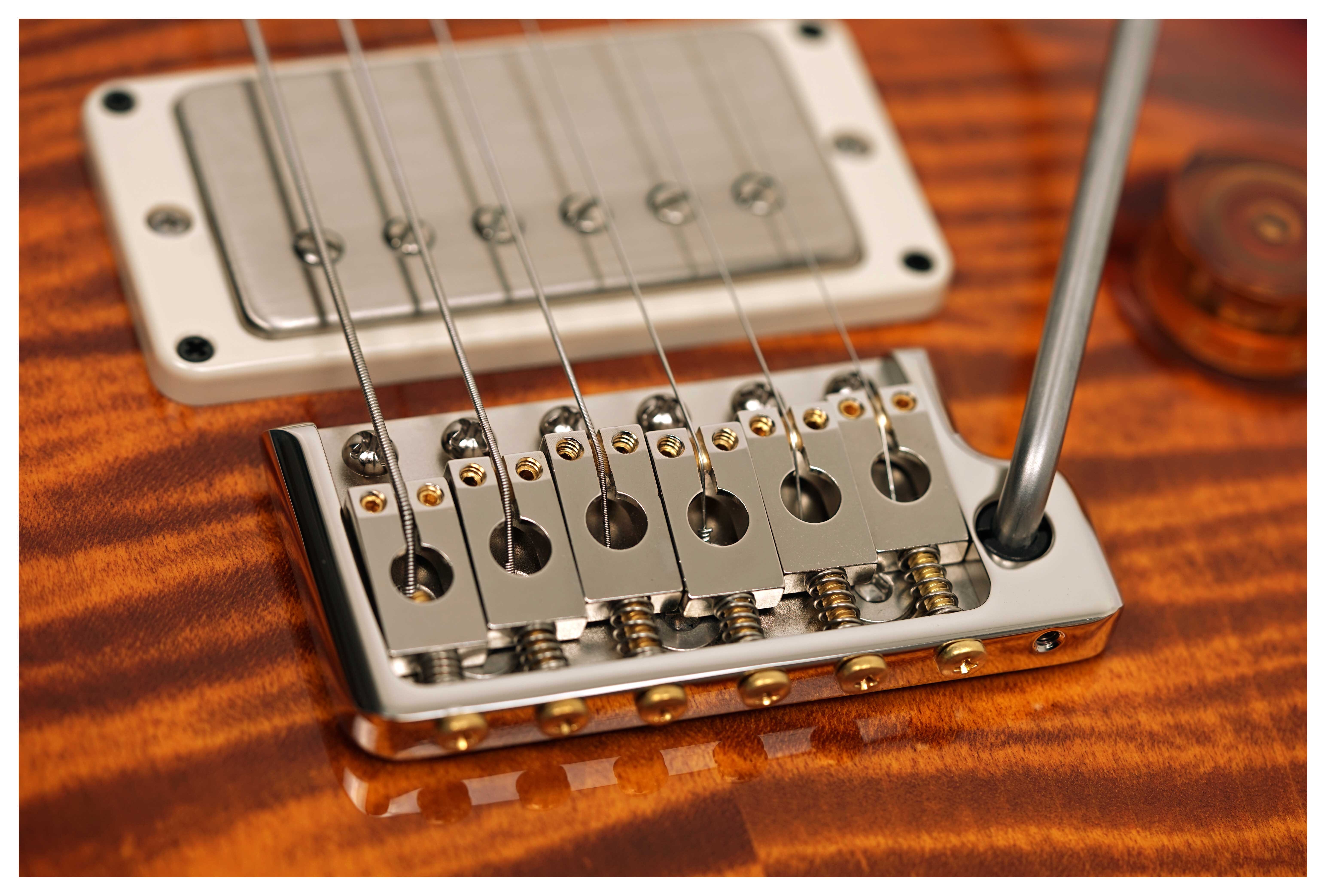 PRS DGT Birds Dark Cherry Sunburst #0420501