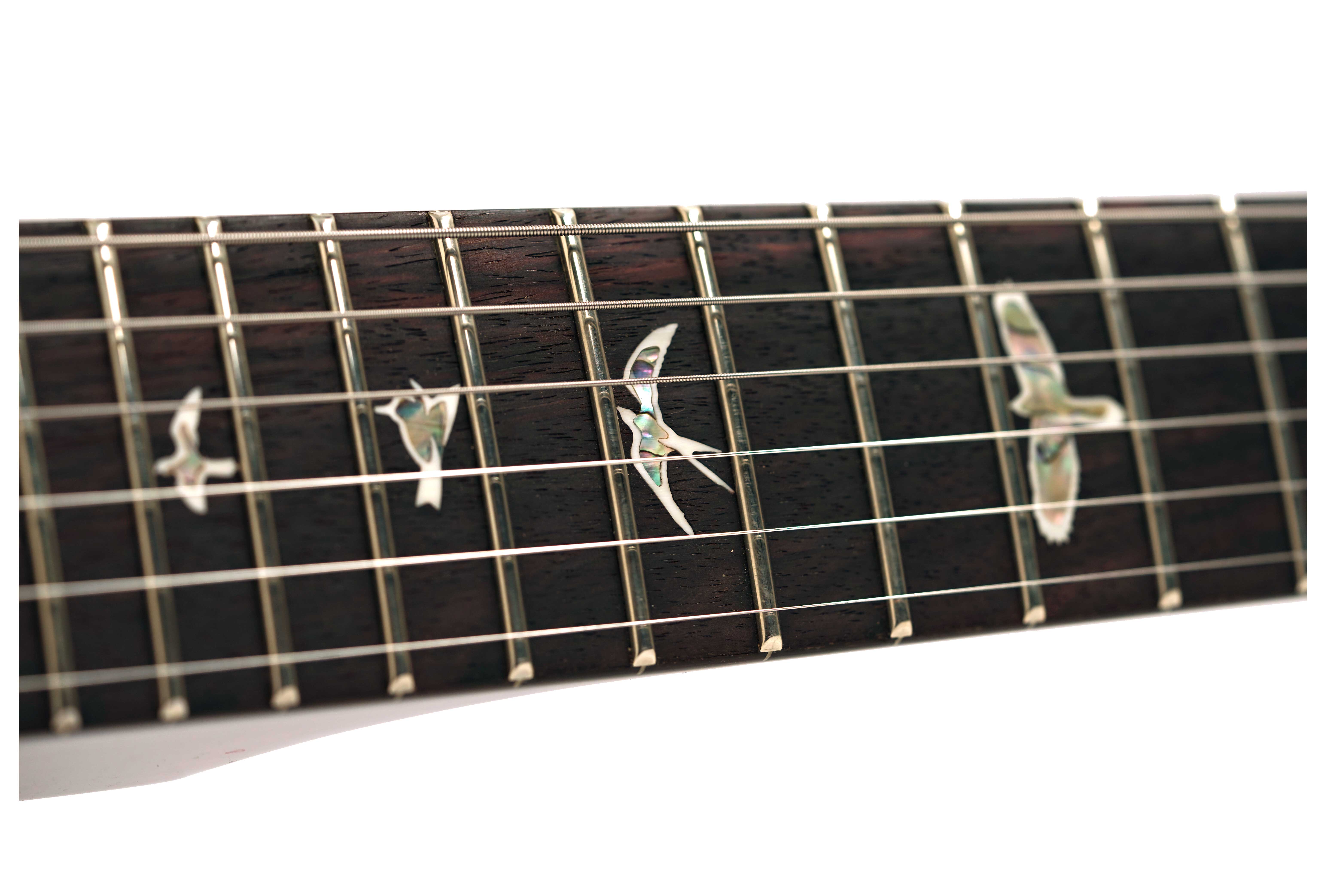 PRS DGT Birds Gold Top (2025) #0401563