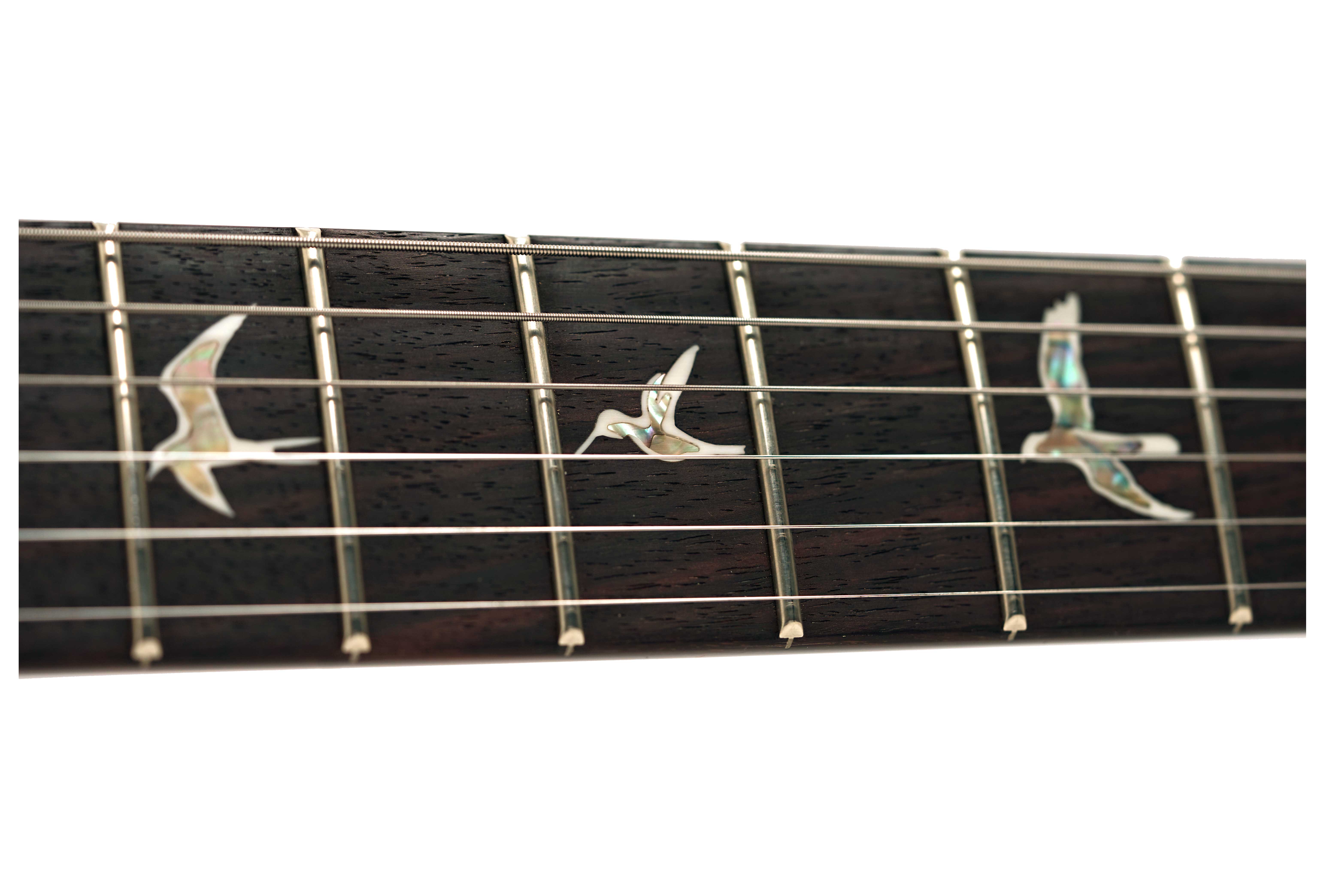 PRS DGT Birds Gold Top (2025) #0401563