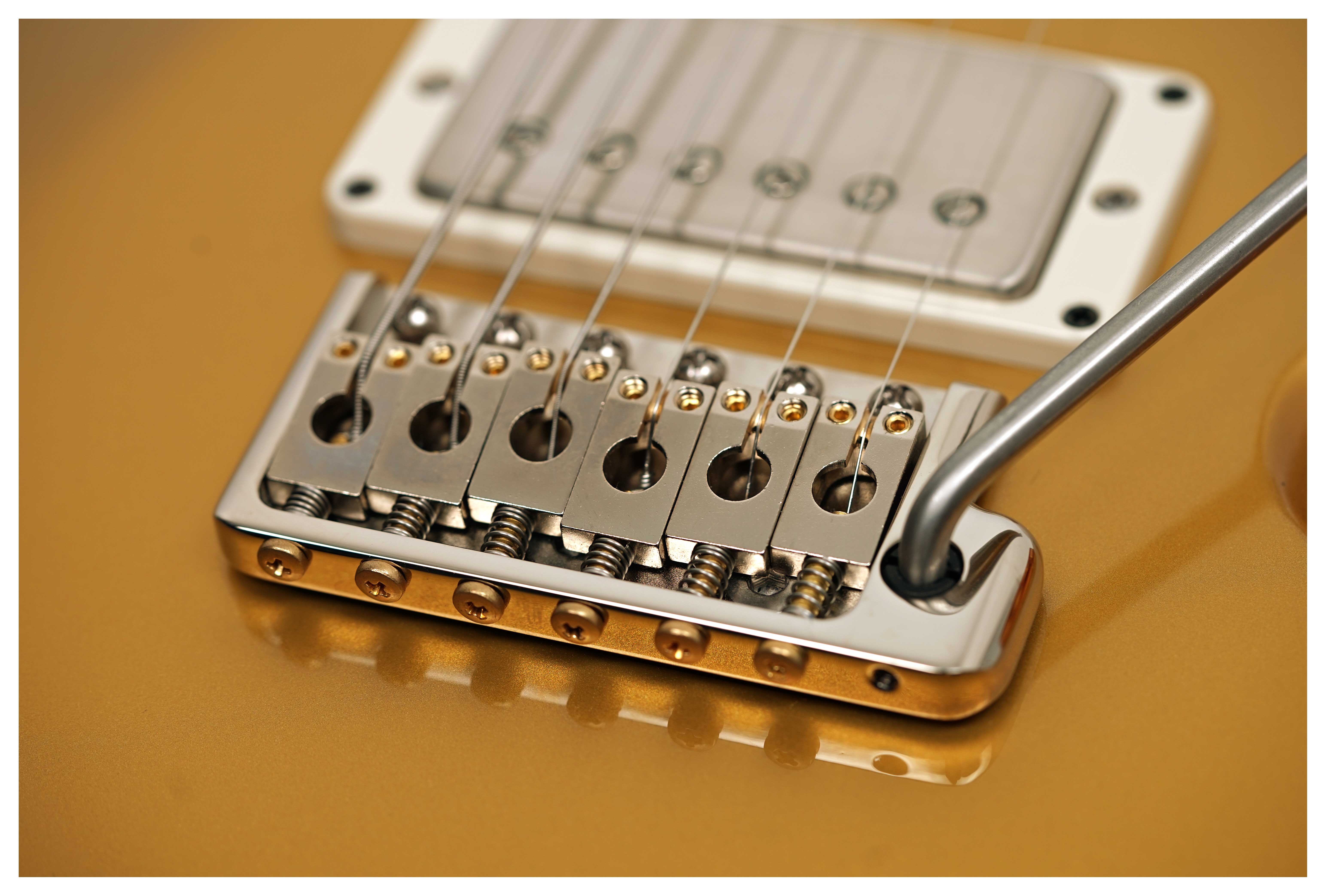 PRS DGT Birds Gold Top (2025) #0401563