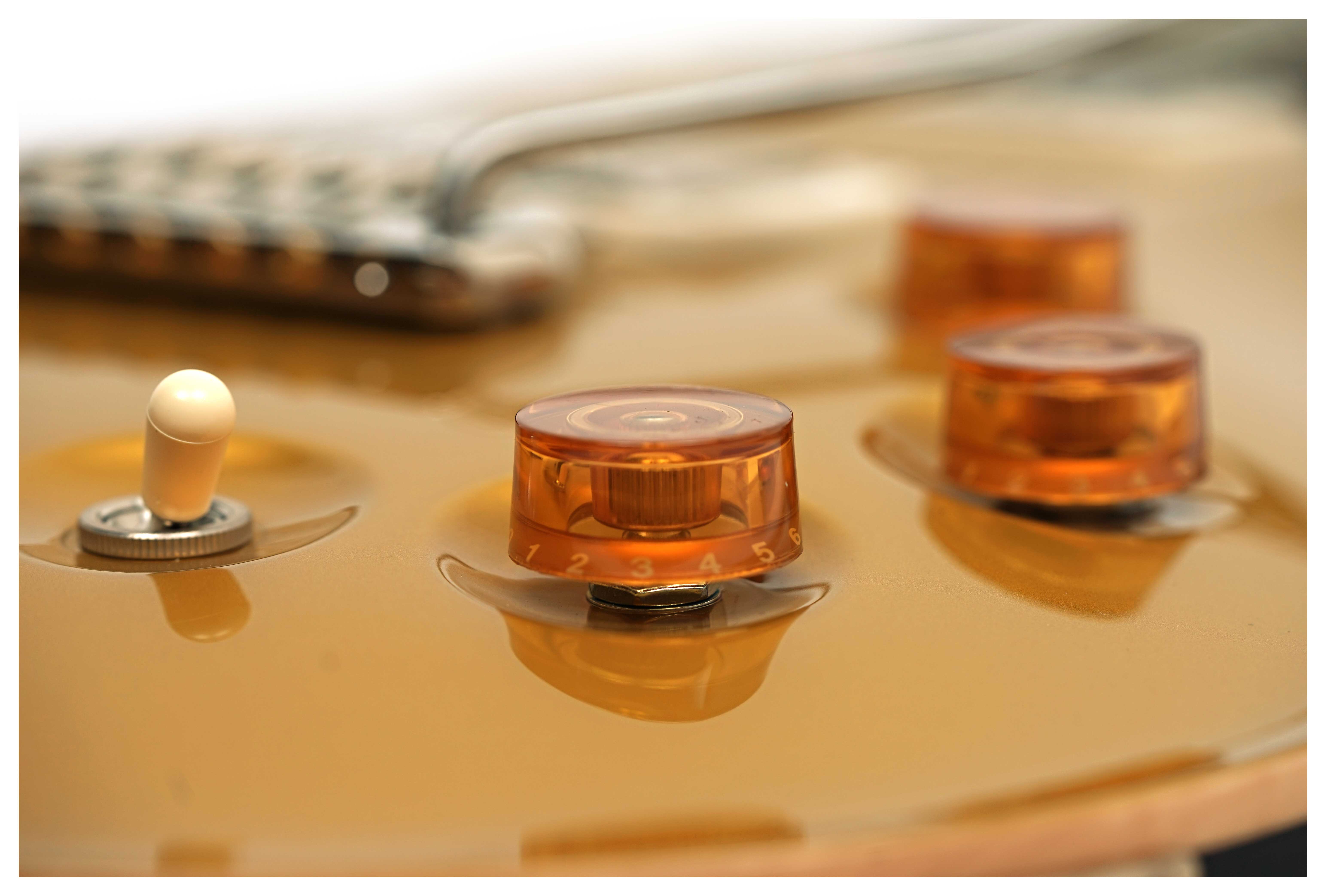PRS DGT Birds Gold Top (2025) #0401563