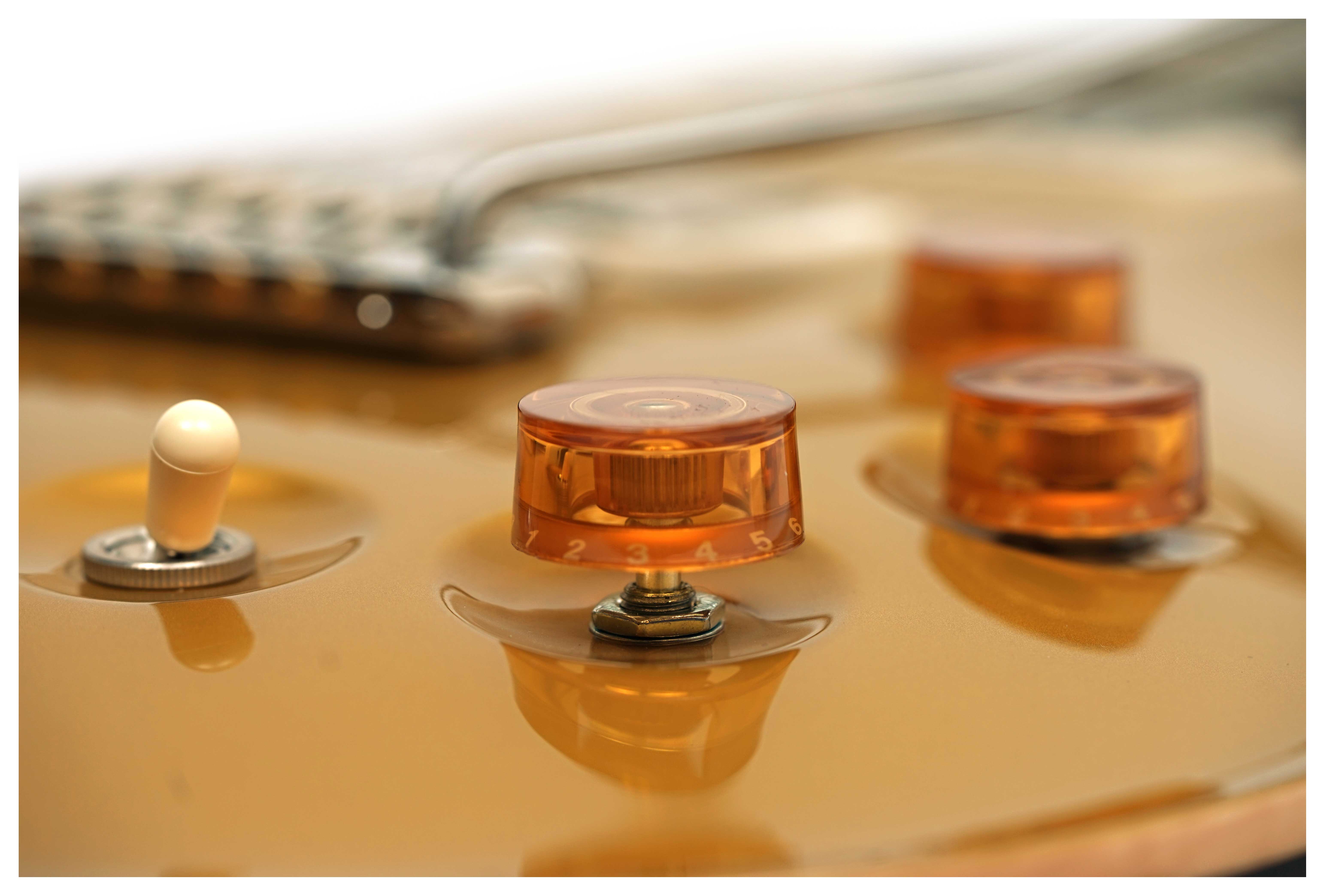 PRS DGT Birds Gold Top (2025) #0401563
