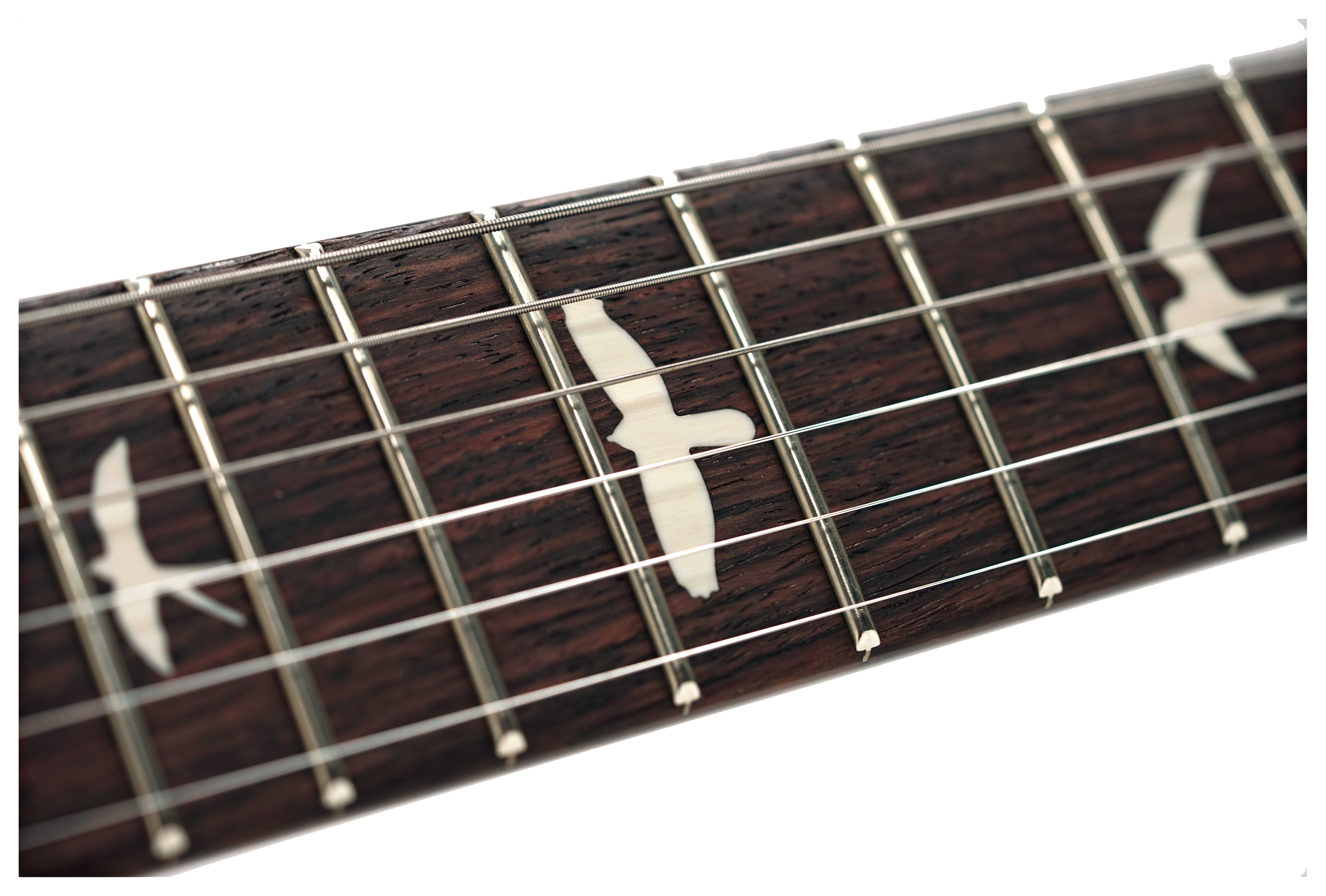 PRS S2 Custom 24 Dark Cherry Sunburst (2025)