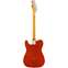Fender Mike Campbell Red Dog Telecaster Red Dog Red Maple Fingerboard Back View