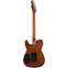 Fender Acoustasonic Standard Telecaster Honey Burst Back View