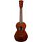 Martin Centennial 1 Concert Ukulele Front View