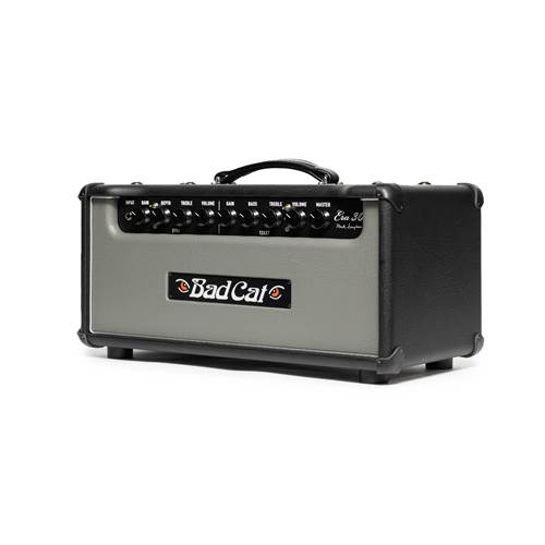 Bad Cat Era 30 Valve Amp Head Grey Bad Cat Era 30 Valve Amp Head Grey