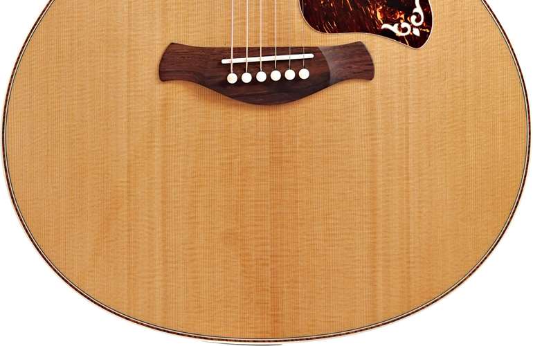 Taylor Gold Label 814e Koa Super Auditorium Taylor Gold Label 814e Koa Super Auditorium