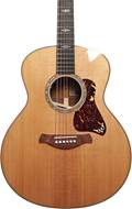Taylor Gold Label 814e Super Auditorium #1201225078