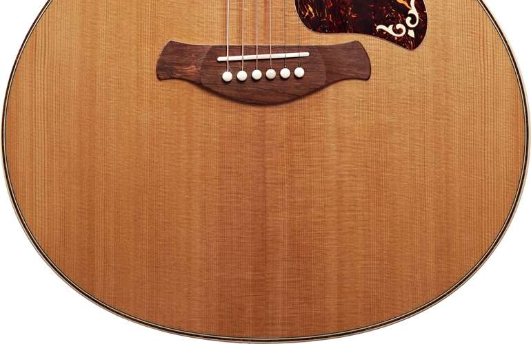 Taylor Gold Label 814e Super Auditorium #1201225078 Taylor Gold Label 814e Super Auditorium #1201225078