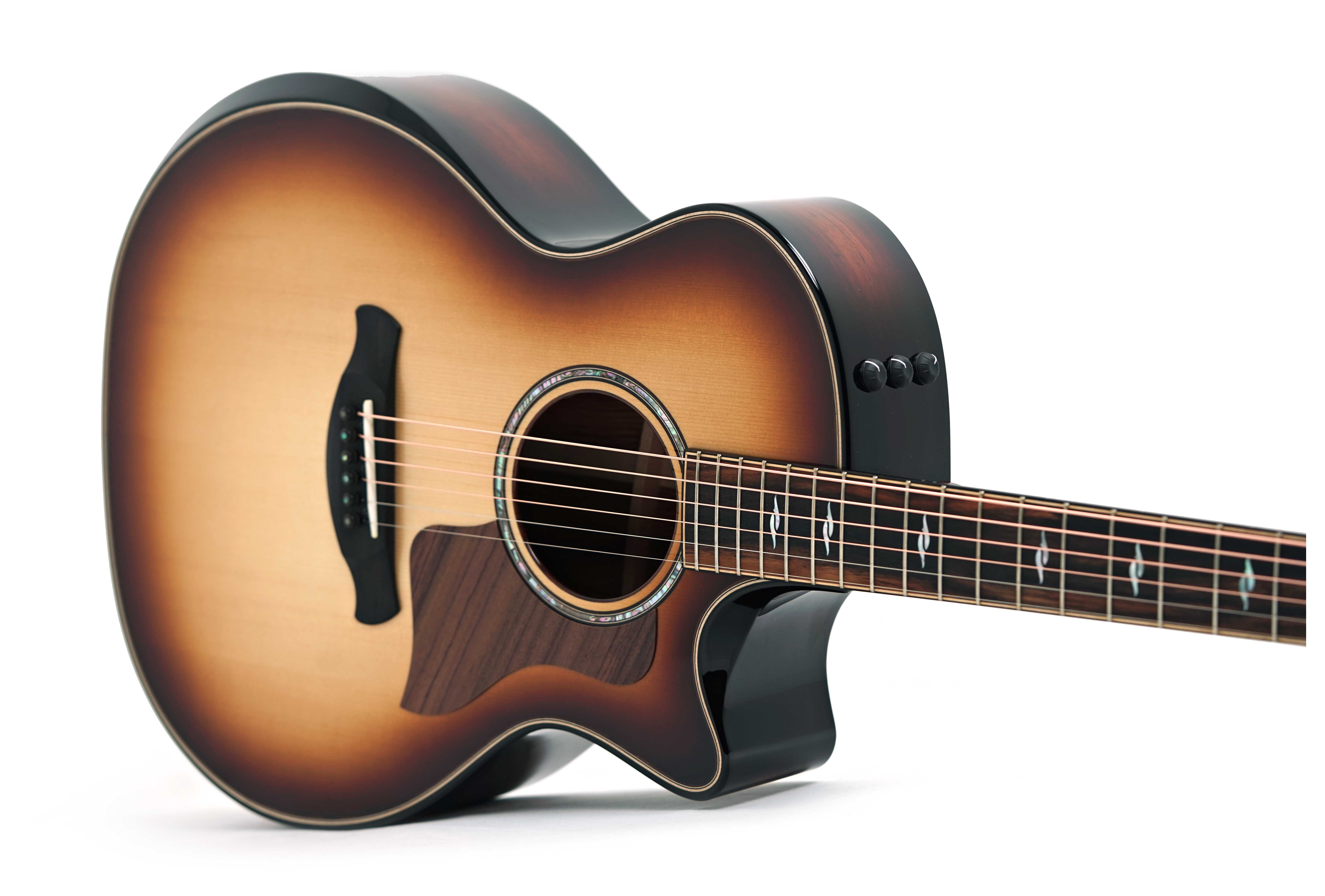 Taylor Builder's Edition 814ce Grand Auditorium Honduran Rosewood / Adirondack Spruce #1202135021