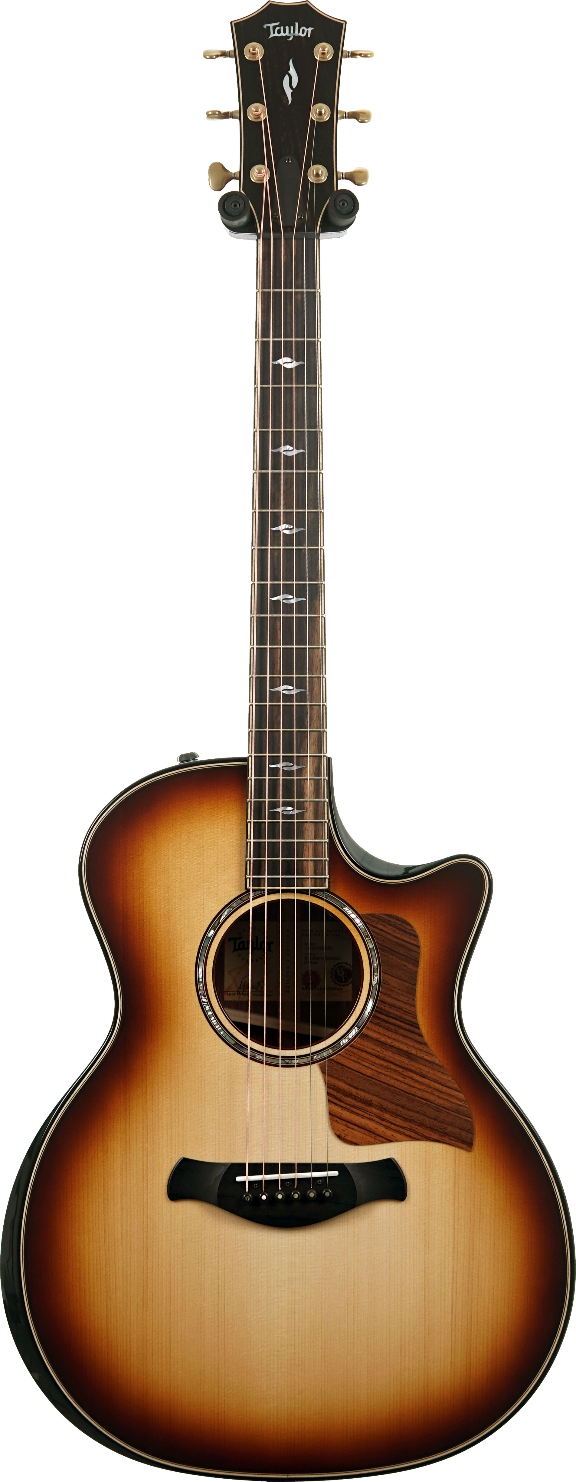 Taylor Builder's Edition 814ce Grand Auditorium Honduran Rosewood / Adirondack Spruce #1202185081