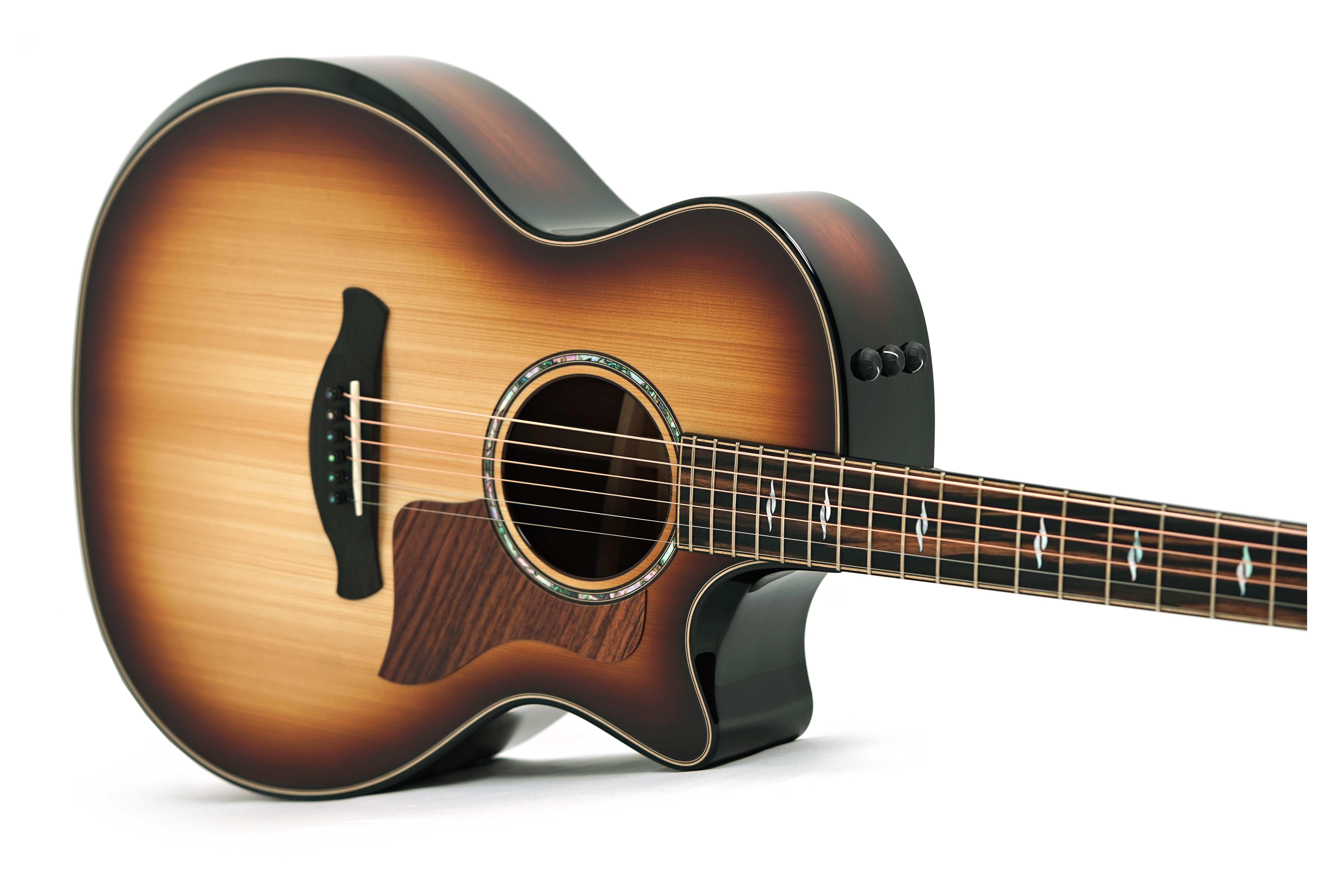 Taylor Builder's Edition 814ce Honduran Rosewood / Adirondack Spruce #1201225003