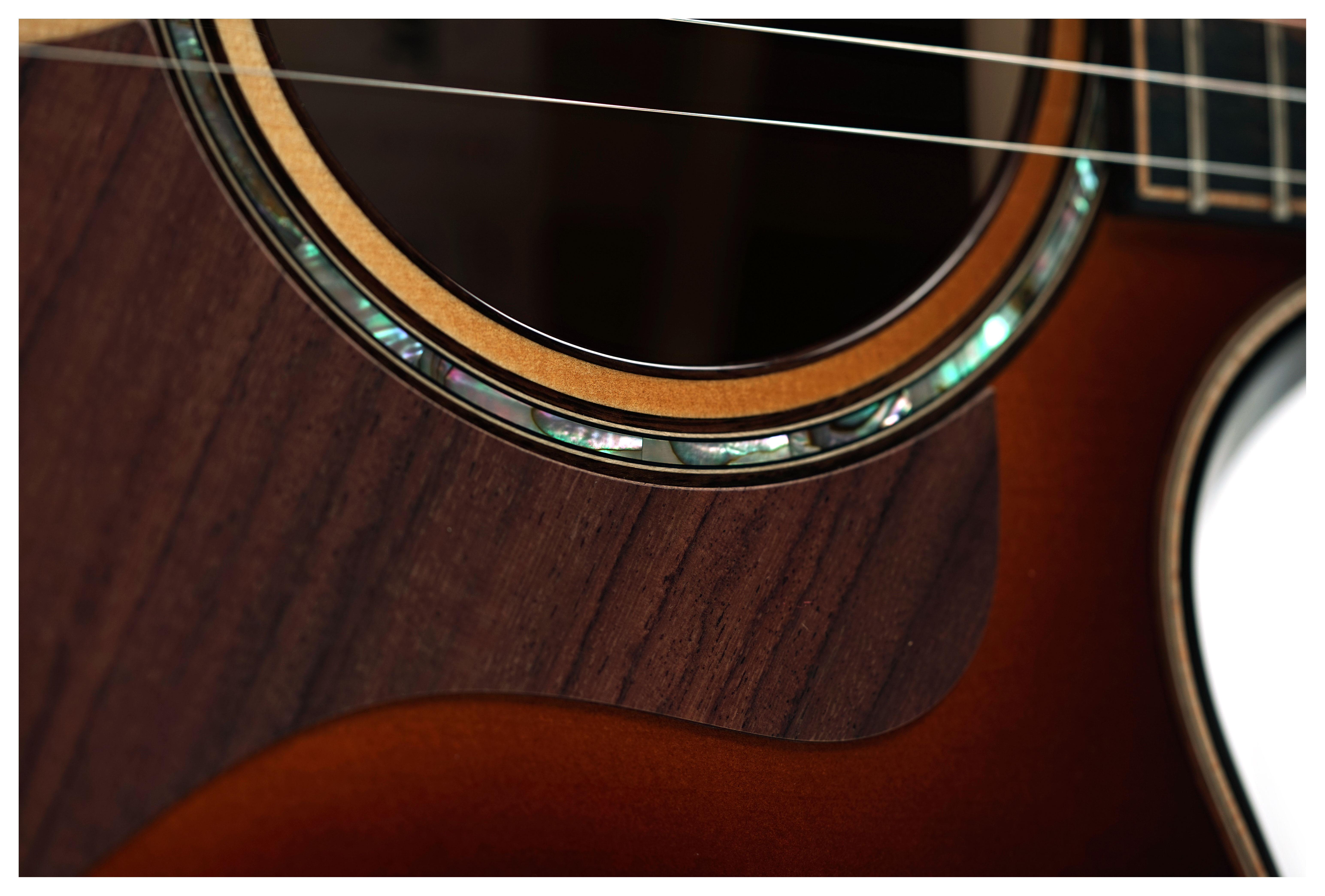 Taylor Builder's Edition 814ce Grand Auditorium Honduran Rosewood / Adirondack Spruce #1201235003