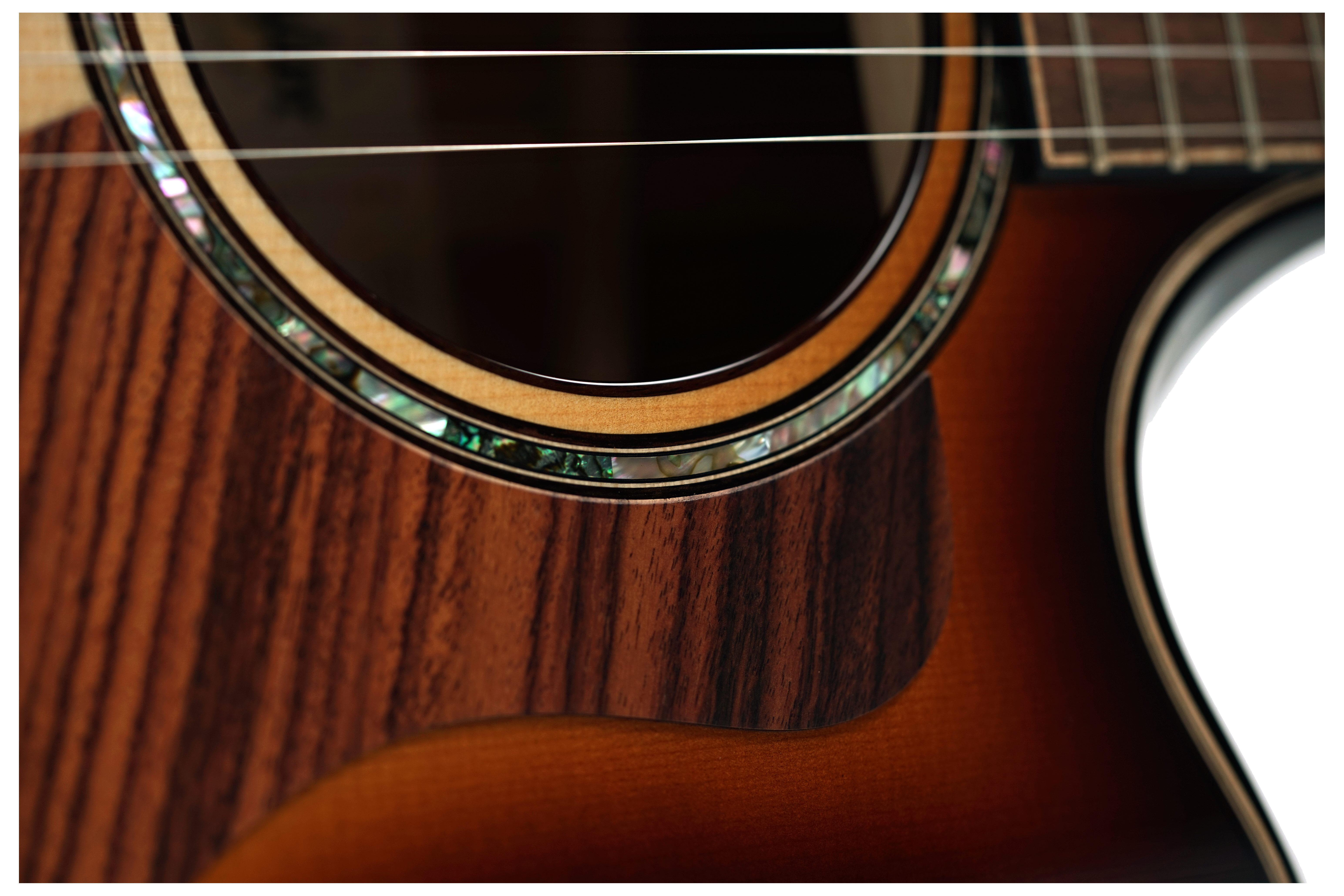 Taylor Builder's Edition 814ce Grand Auditorium Honduran Rosewood/Adirondack Spruce #1201235002