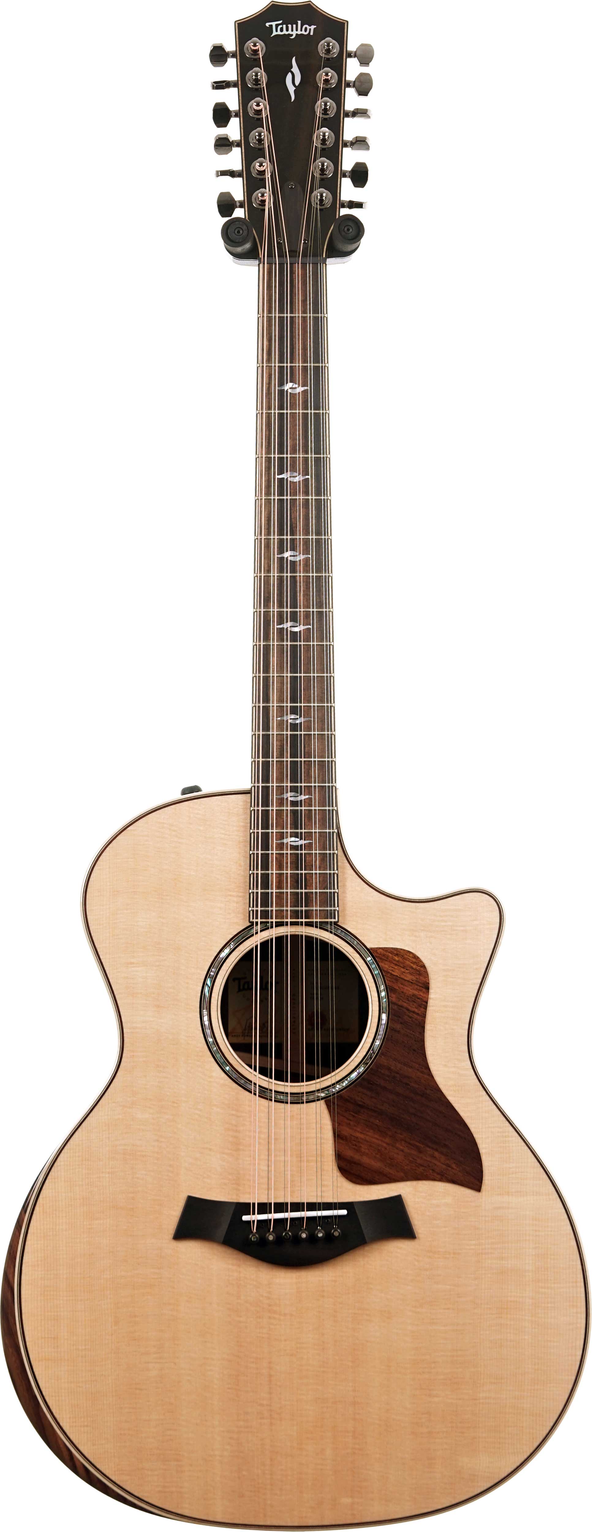 Taylor 854ce 12-String Grand Auditorium #1205025044