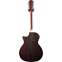 Taylor 454ce 12-String Grand Auditorium Natural #1202135061 Back View