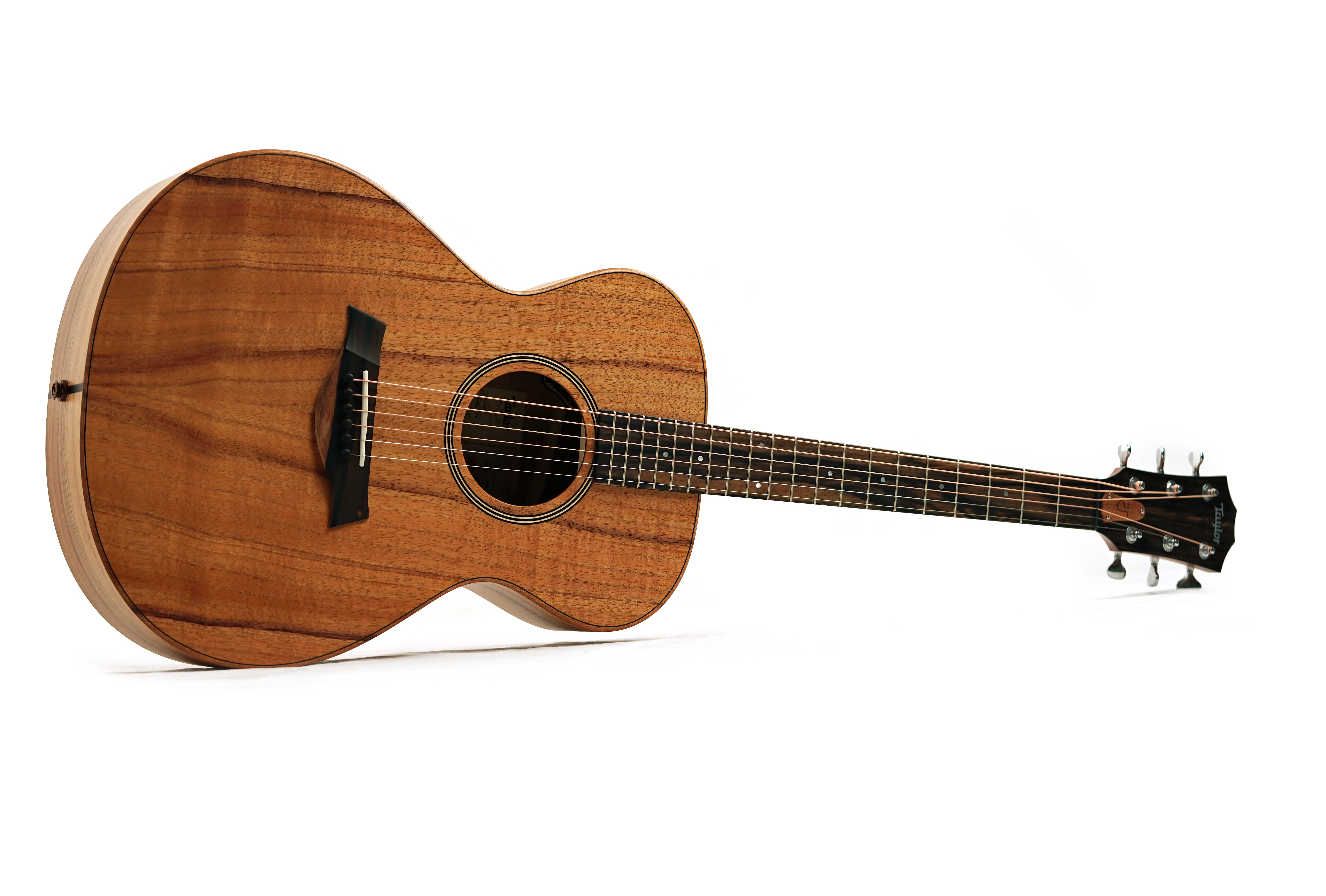 Taylor Jacob Collier Signature Model JCSM-6 #1204245089