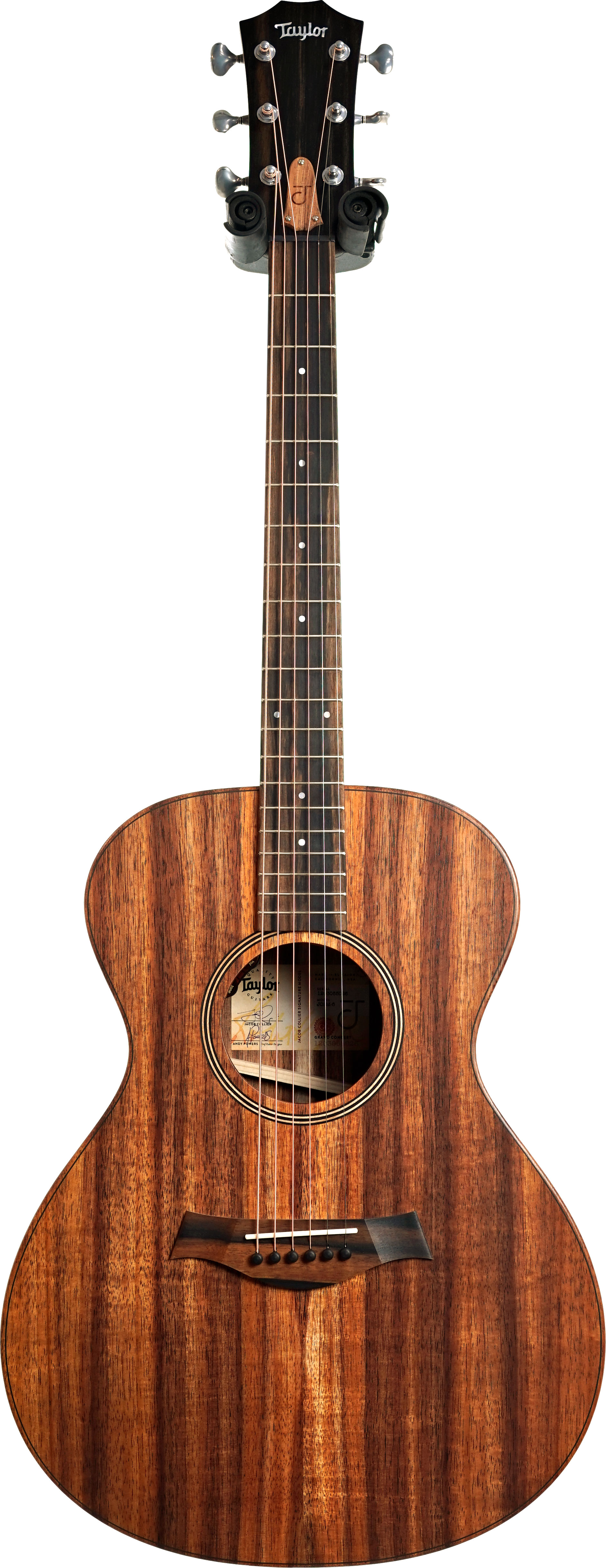 Taylor Jacob Collier Signature Model JCSM-6 #1203065026