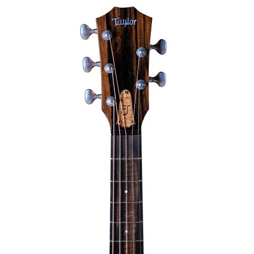 Taylor Jacob Collier Signature Model JCSM-5 Taylor Jacob Collier Signature Model JCSM-5