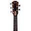 Taylor Jacob Collier Signature Model JCSM-5 Front View
