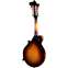 Eastman MD515/TV Wideneck Sunburst Back View