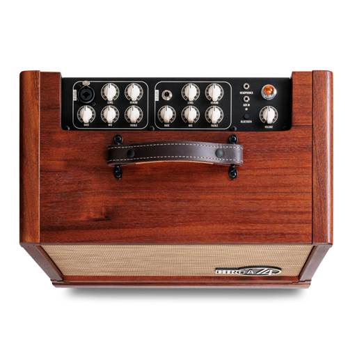 Taylor Circa 74 Mahogany Taylor Circa 74 Mahogany