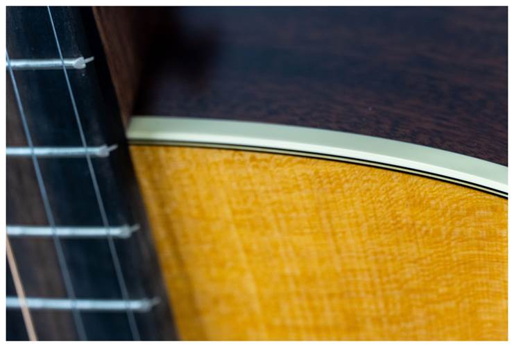 Martin D-10E Special Martin D-10E Special