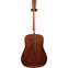 Martin Standard Series D-18 (2025) (Ex-Demo) #2948865 Back View