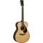 Yamaha FS9 RX Rosewood Front View