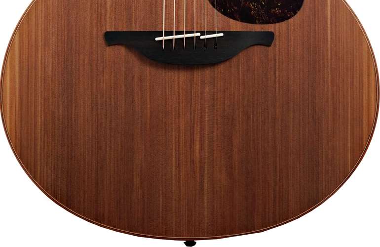 Lowden F-10 Red Cedar / Indian Rosewood (Ex-Demo) #28729 Lowden F-10 Red Cedar / Indian Rosewood (Ex-Demo) #28729