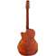 Takamine LTD2025 Back View