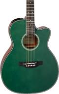 Takamine LTD2025
